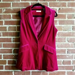 🎈LAST CHANCE❗(COLDWATER CREEK) Velvet Vest
